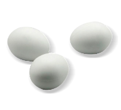 huevos_pequeños_falsos 3042 palomas.png