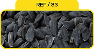 33.png