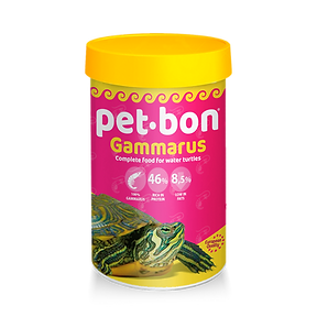 petbon_bote_tortuga.png