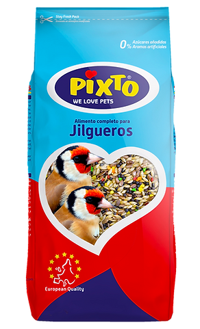 PIXTO_JILGUERO.png