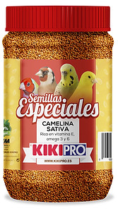 153_Camelina_Sativa.jpg