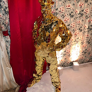 Mirror Man