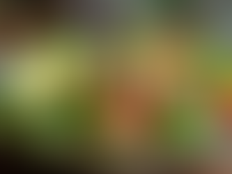 Keto-Friendly Recipes for Every Meal