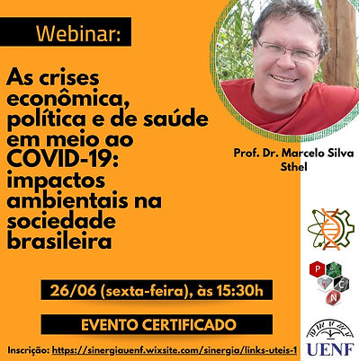 Webinar Marcelo Sthel