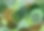 9bcdec70-b15e-4a91-908e-c959c1479a43.png