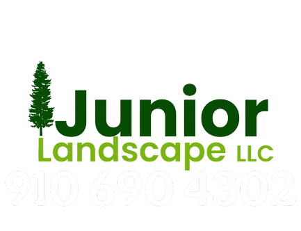 junior logo w_# (1) (2) (1).png