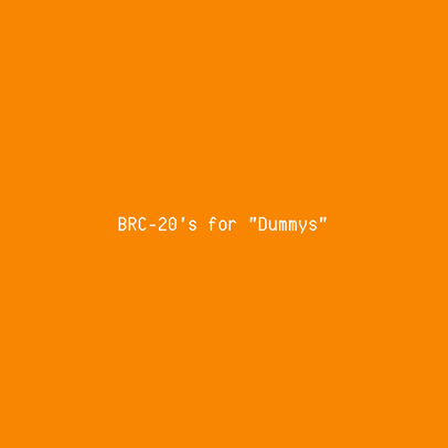 BRC-20 BASICS 