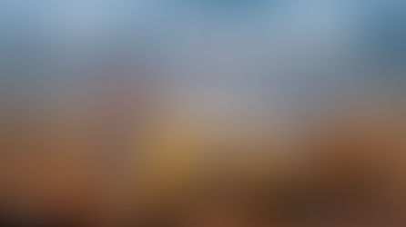 Exploring Pet-Friendly Features of the Renault Triber on National Pet Day with PowerDrift