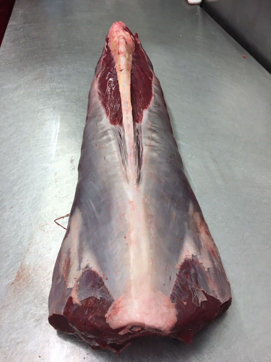Wild Venison Saddle