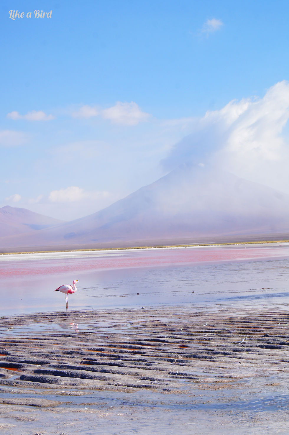 Bolivie