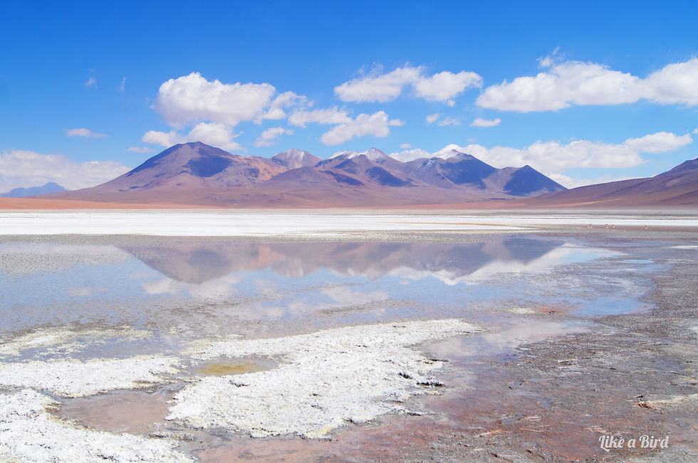 Bolivie
