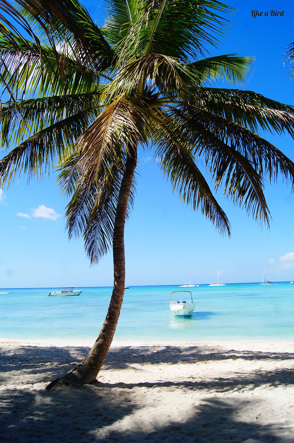 République Dominicaine