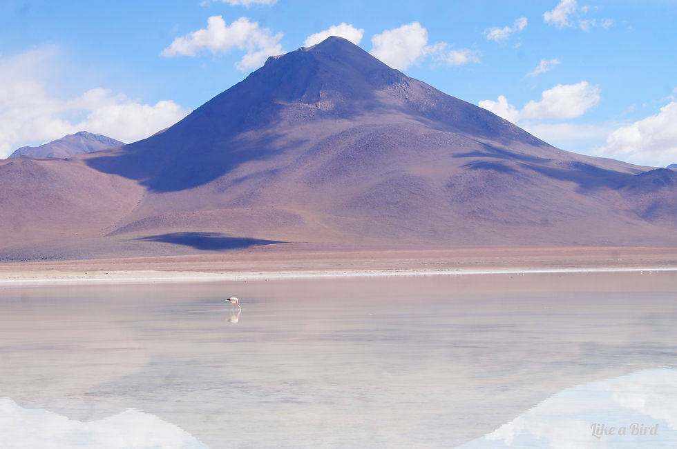 Bolivie