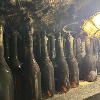 Mouldy cellars and bottles at Erzsébet Pince