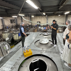 Fermentation tanks at Zaku sake brewery