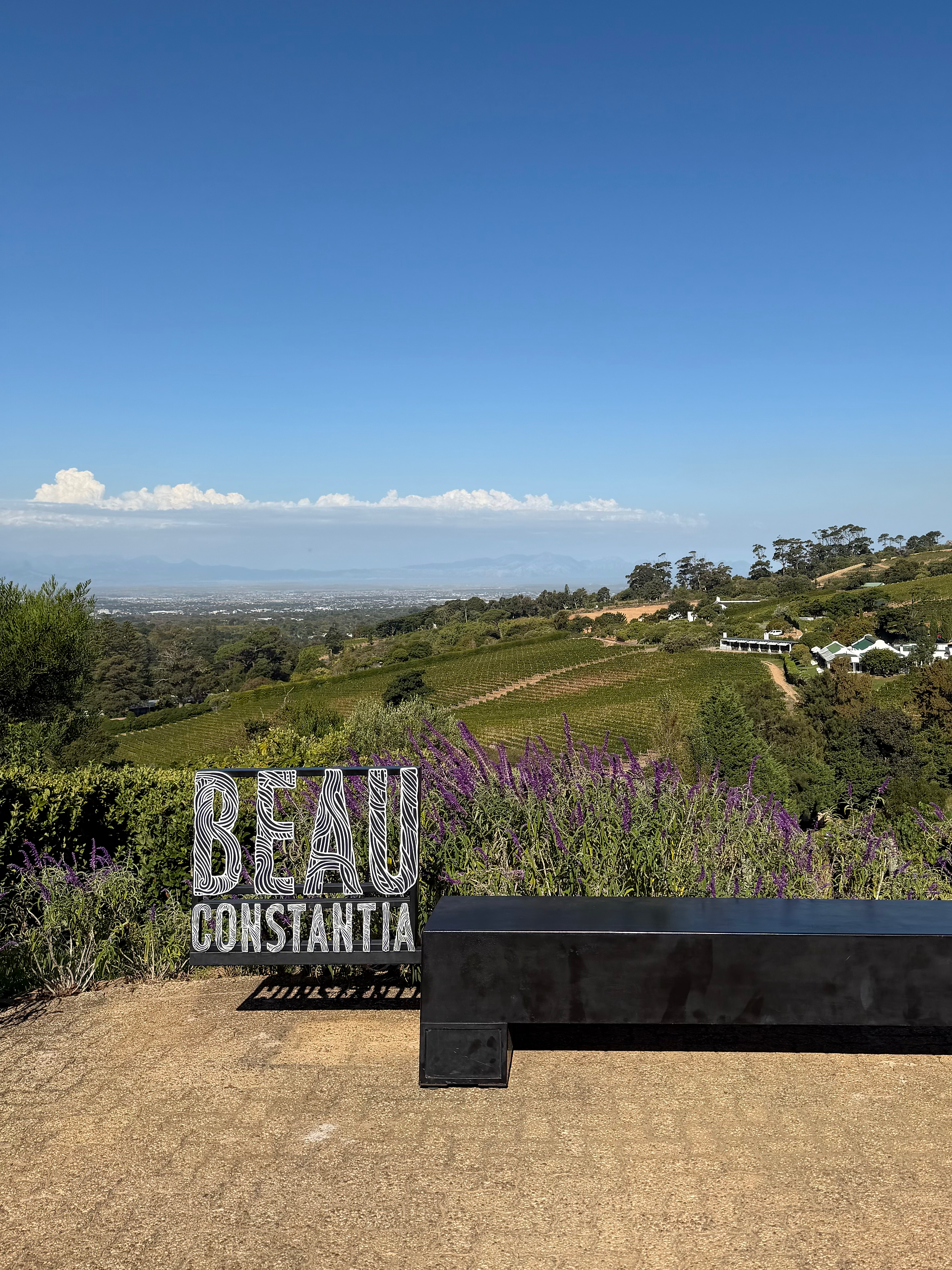 The view from Beau Constantia