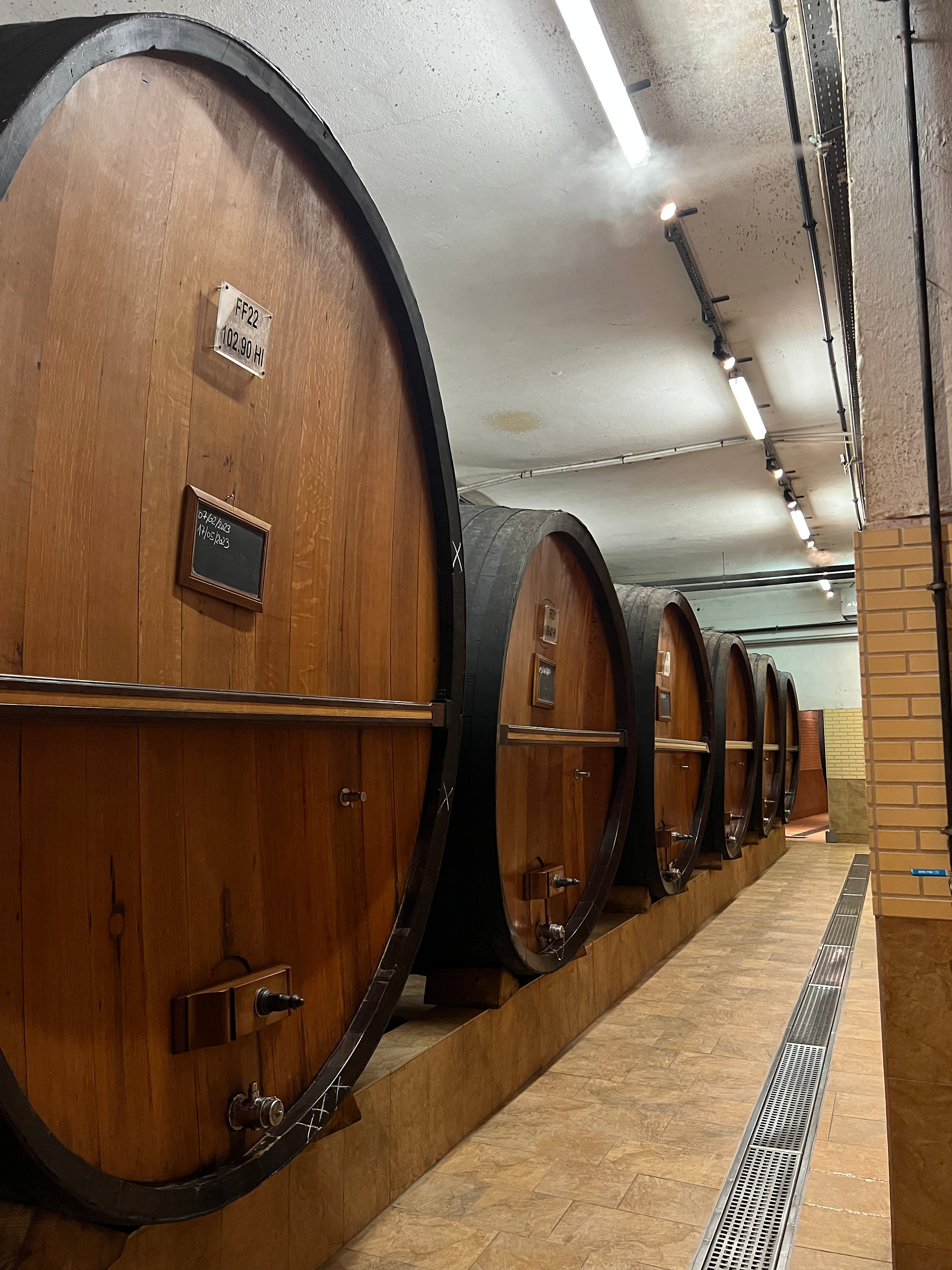 Barrel room at Domaines Schlumberger
