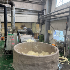 A worker with the steamed rice in Zaku sake brewery