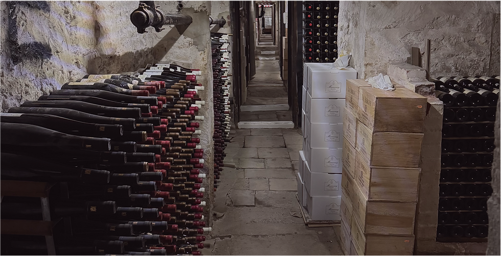 Cellar 4.png