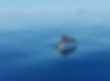 Filicudi