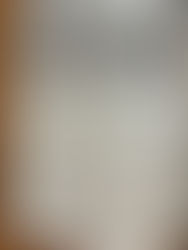 【連載記事】Z世代との対話術