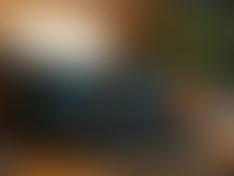 Explore the Journey of Sheryl Lamb's Writing