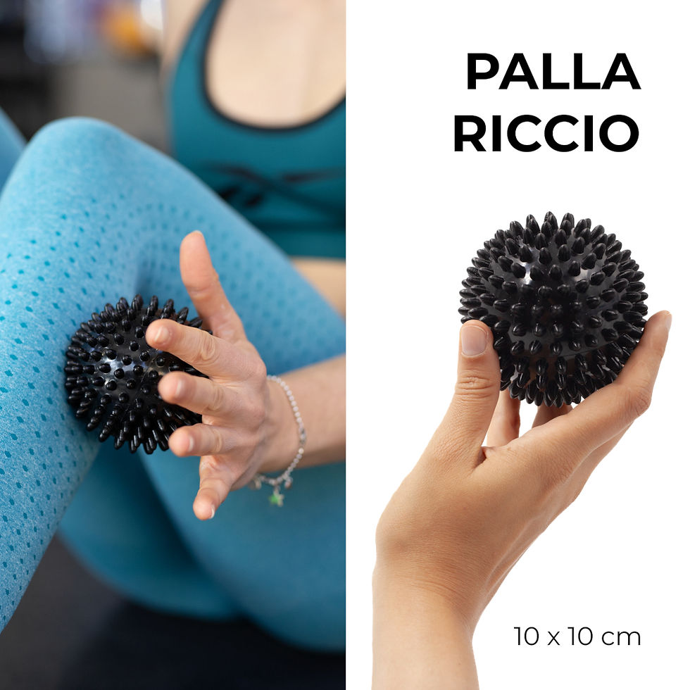 Miniatura: PALLA RICCIO E LACROSSE