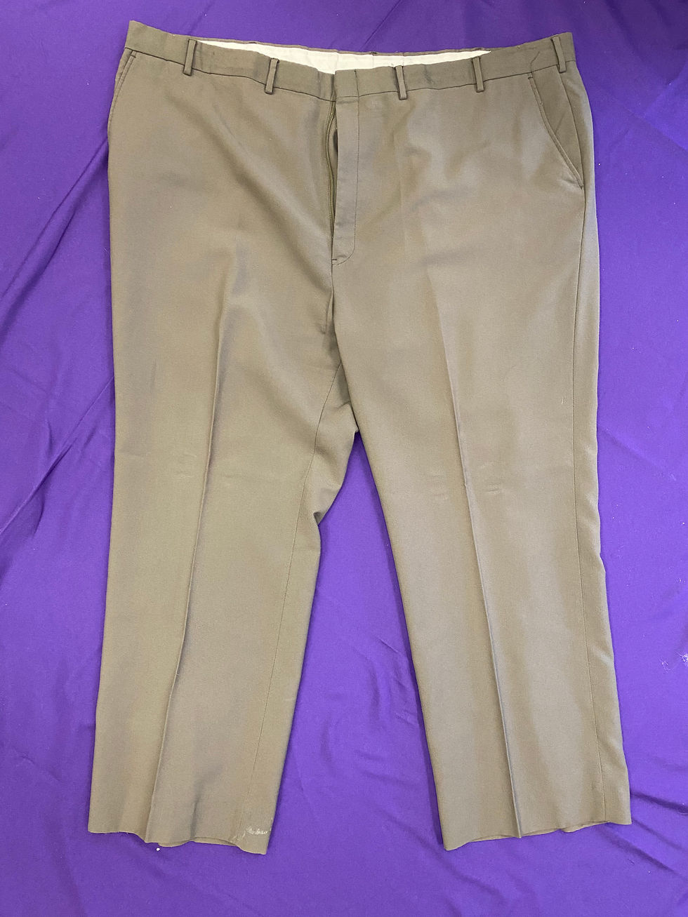 Solid Dress Pants
