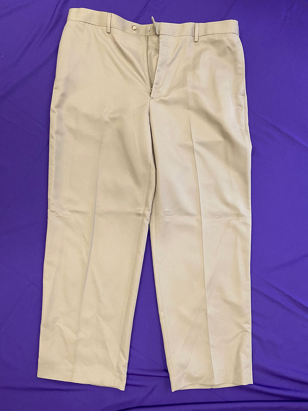 Solid Dress Pants