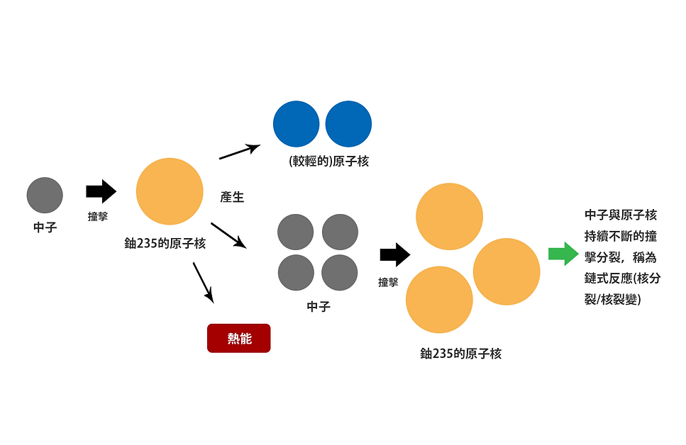 核分裂圖.png