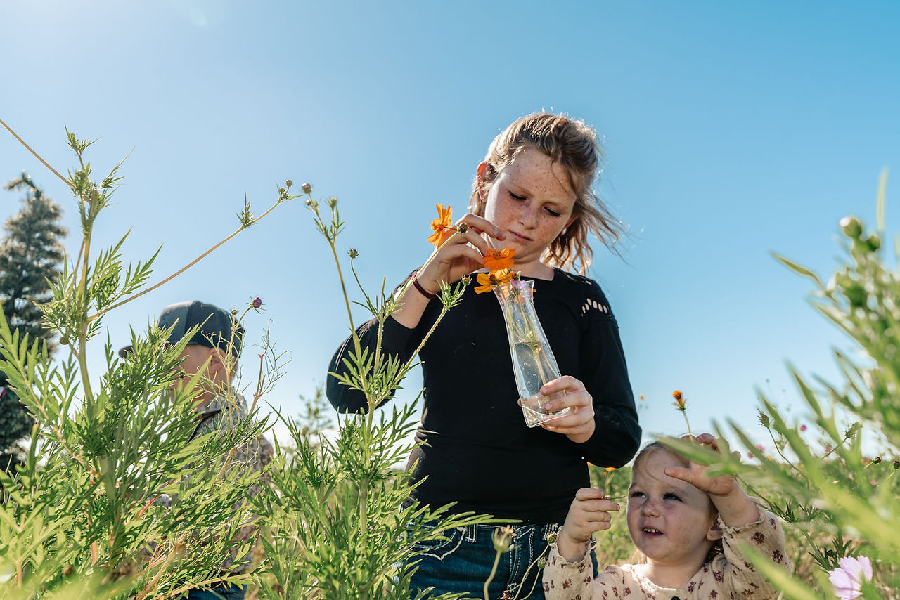 Two young sisters picking orange wildflowers in a bright, sunny field at Ever After Farms Peach.