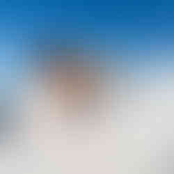 Bride and groom standing by the ocean with veil flowing in wind during wedding portrait