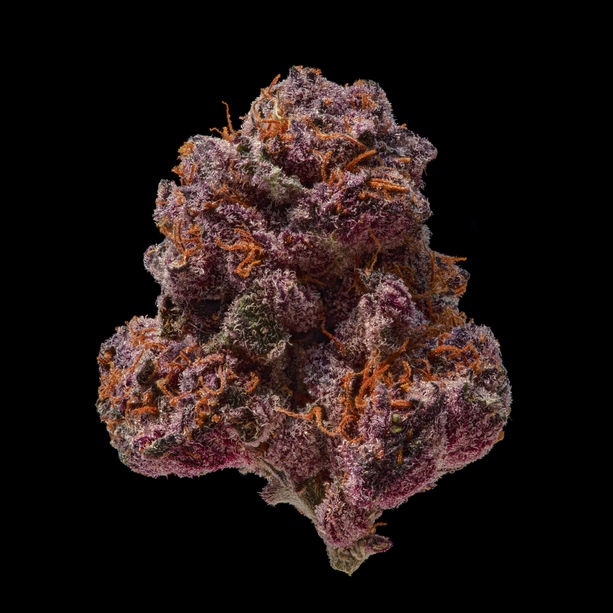 Macro Cannabis Photography, Cannabis Bud Photography, Close-up Marijuana Photos, Cannabis Flower Photography, Cannabis Leaf Photography, Weed Macro Shots, Cannabis Cultivation Photography, Indoor Cannabis Grow Photos, Outdoor Cannabis Photography, Cannabis Trichomes Photography