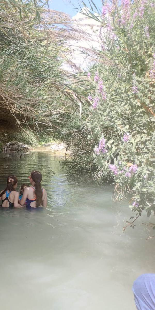 עין עמיקם