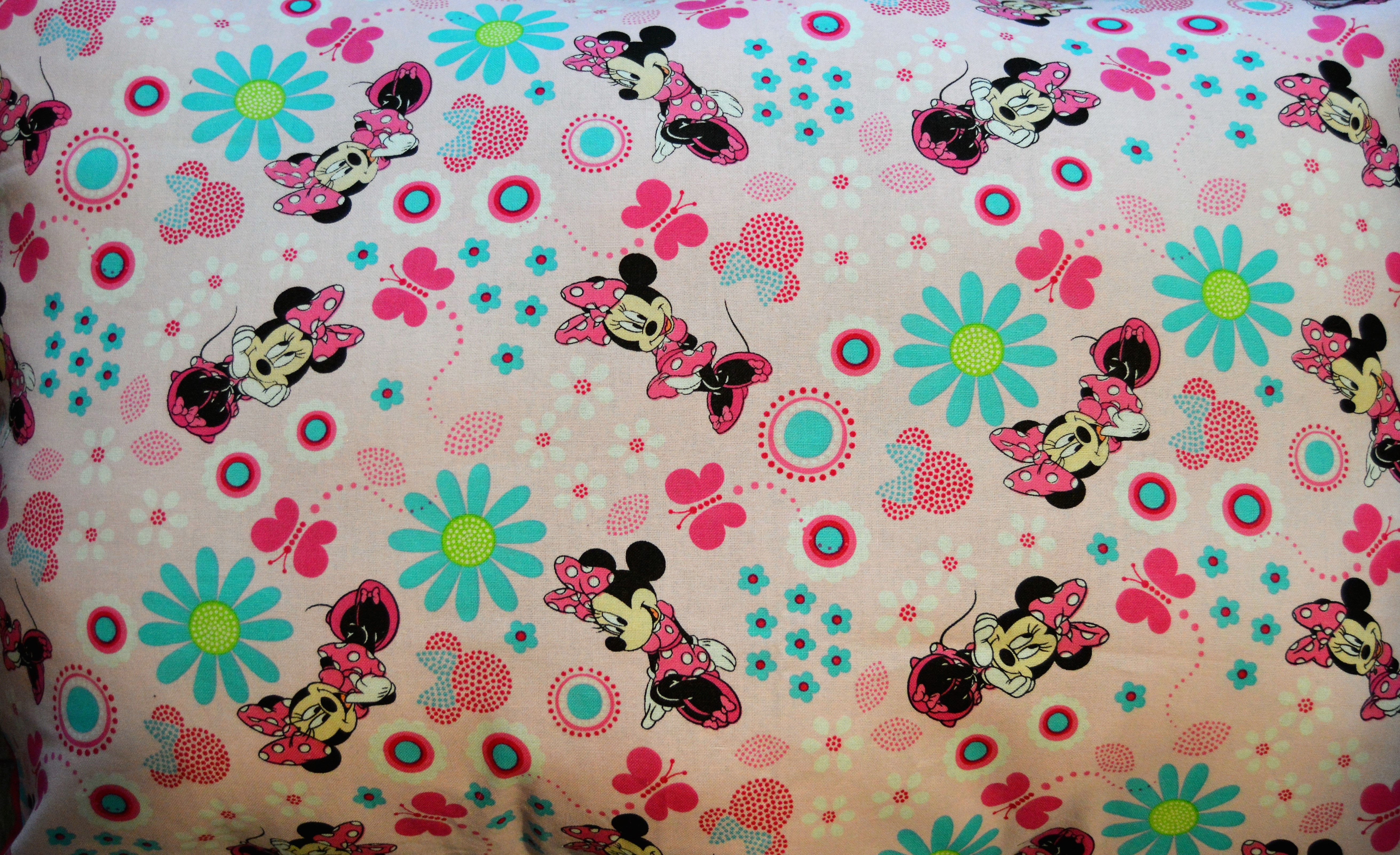 Minnie Mouse Inspired Pillow