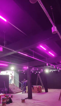 WhatsApp Image 2023-06-22 at 15.48.19.jpeg