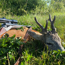 őz vadászat, őz bak vadászat, roe deer hunt, rehwild jagd, rehbock jagd, ricke jagd, kitz jagd