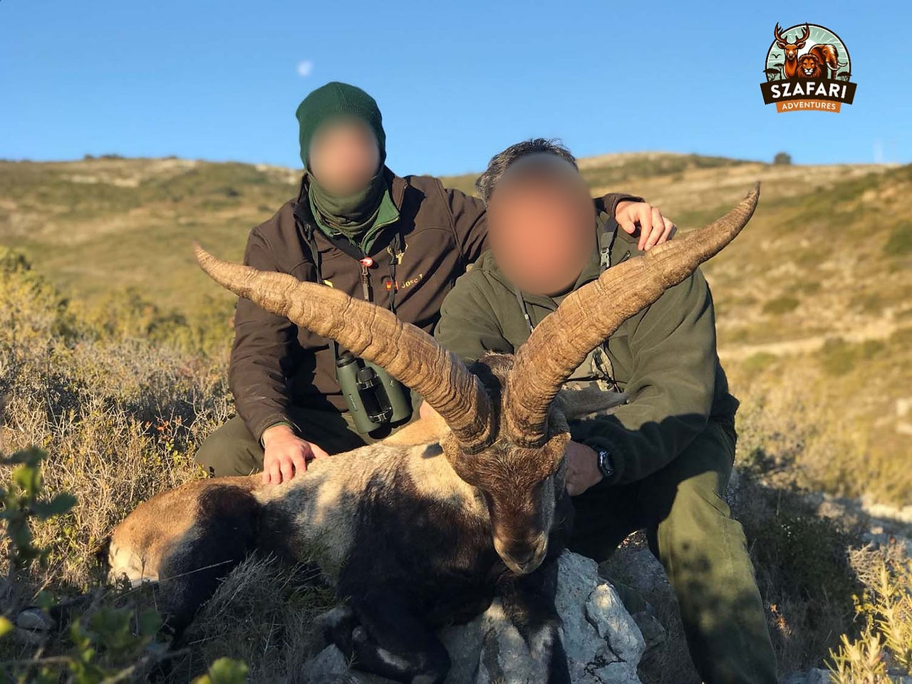 gdführer und Beceite Ibex in Spanien - Professioneller Führer, der bei einer Beceite Ibex-Jagd in den spanischen Bergen hilft.