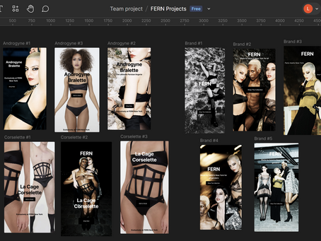 Curating Instagram Advertisements 