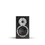 Thumbnail: Dali Spektor 2 | Compact Loudspeaker