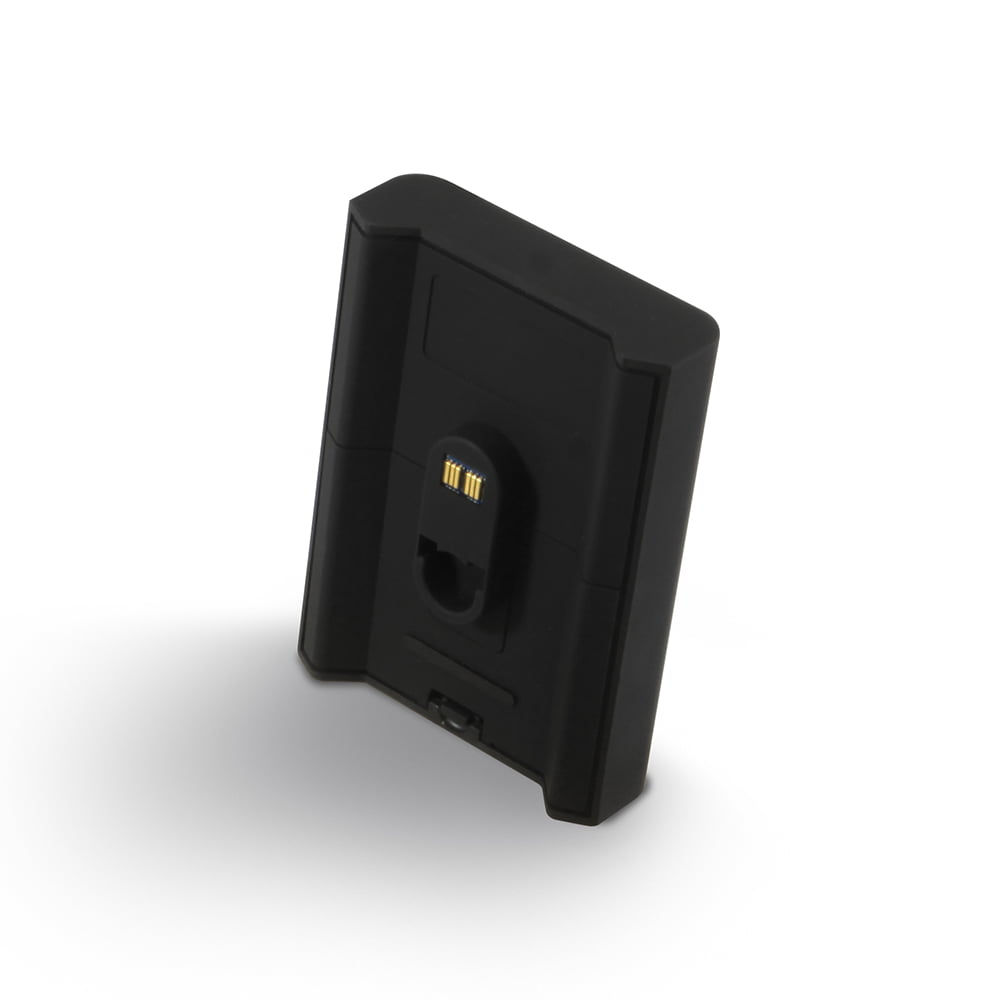 Bluesound BP100 | Pulse Flex Battery Pack