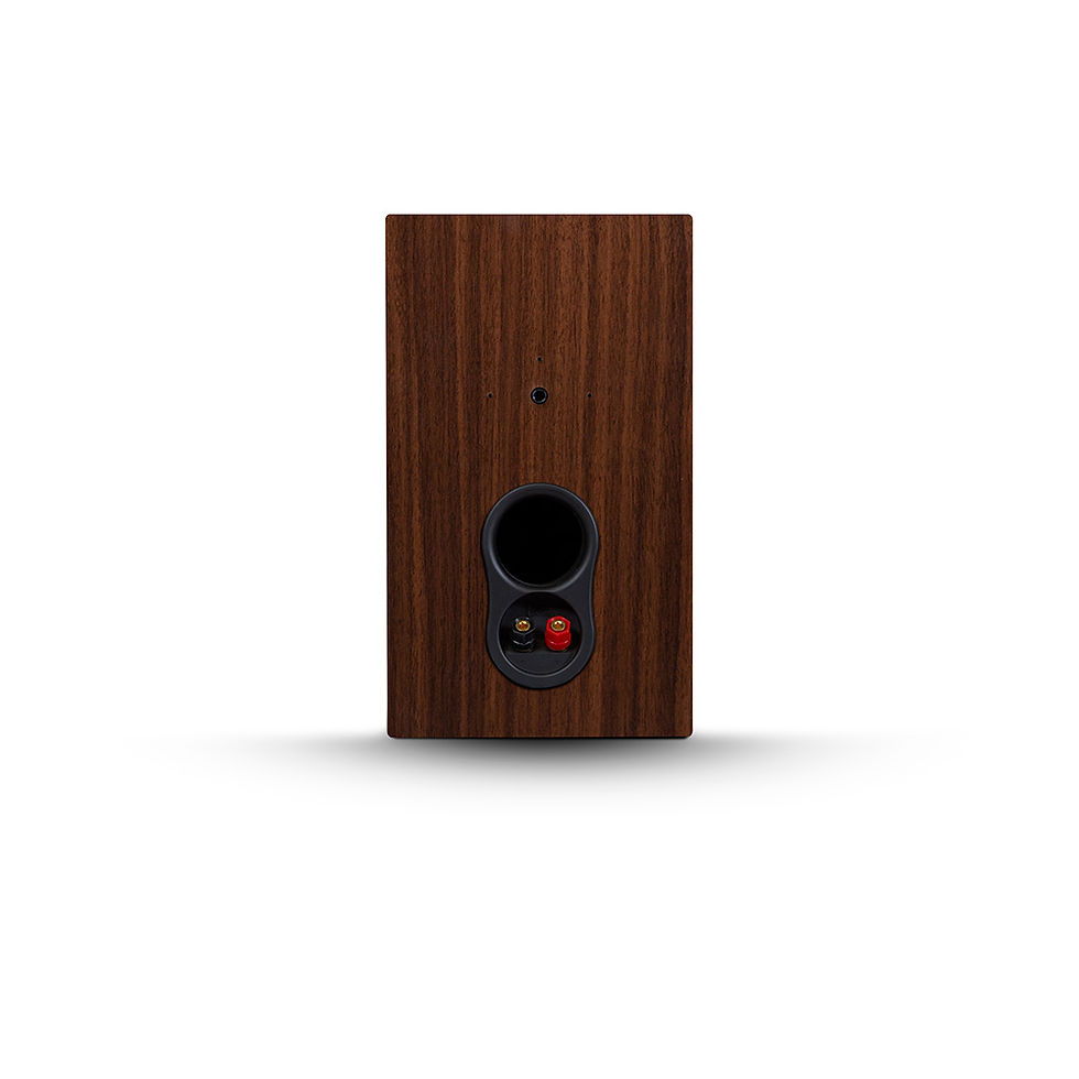 Thumbnail: PSB Alpha P5 | 2-Way Speaker System