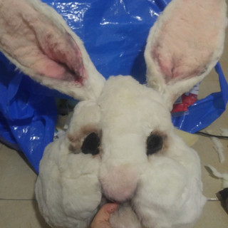 IMG-20190910-WA0058.jpeg