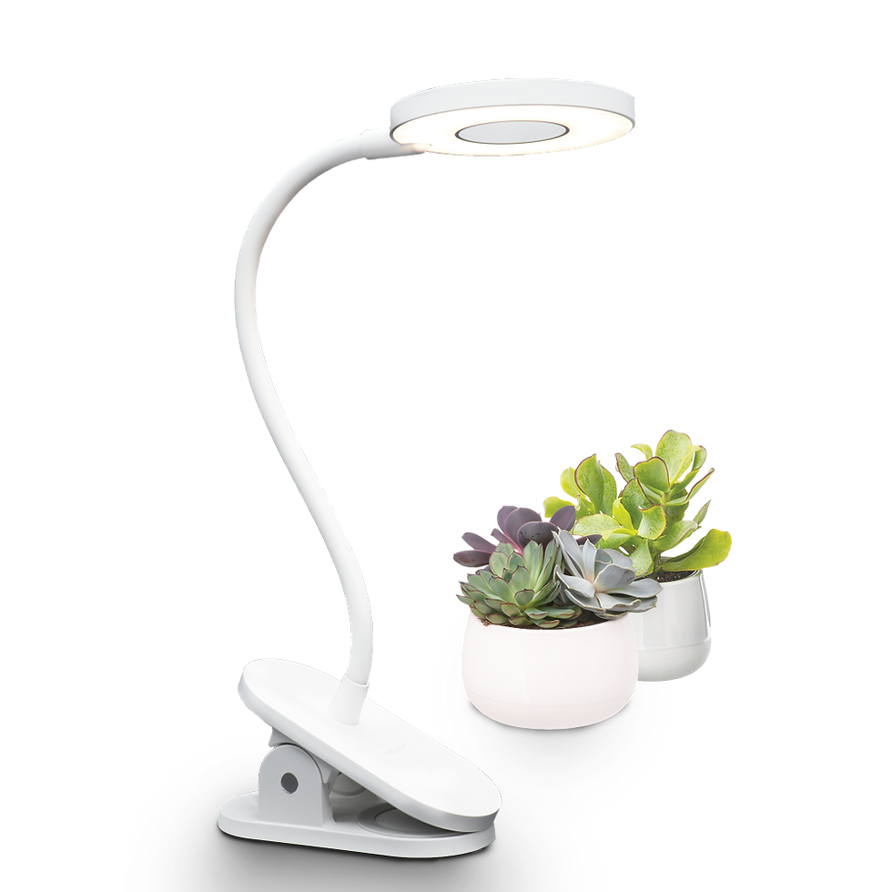 j1 with plants