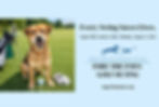 Fore The Paws Golf Outing