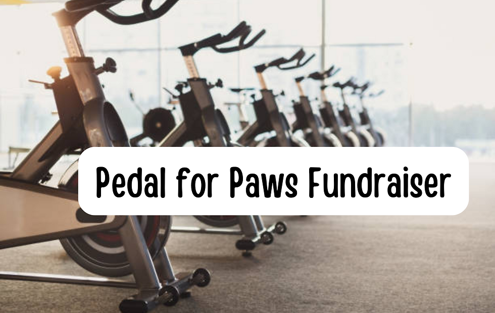 Pedal for Paws