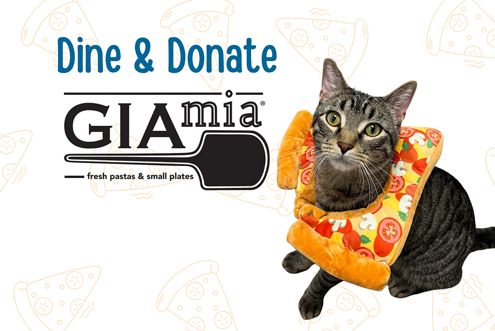 Gia Mia Dine & Donate