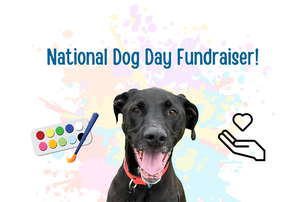 Wag, Paint, Donate!