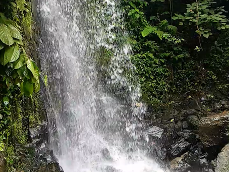 Tengenugan waterfall,Bali