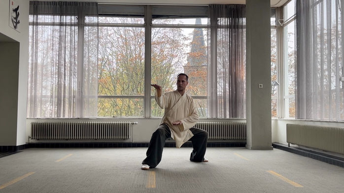 Peter Smit van Chi Connect die in de leszaal in Rotterdam Centrum de Slang (snake arms in mabu (lage paardenstand) uit de Wuxing 5 animals Neigong Qigong vorm beoefent. 

Hij draagt een traditioneel Daoïstisch Qigong/Taiji uniform met een creme robe en donkergroene broek.
